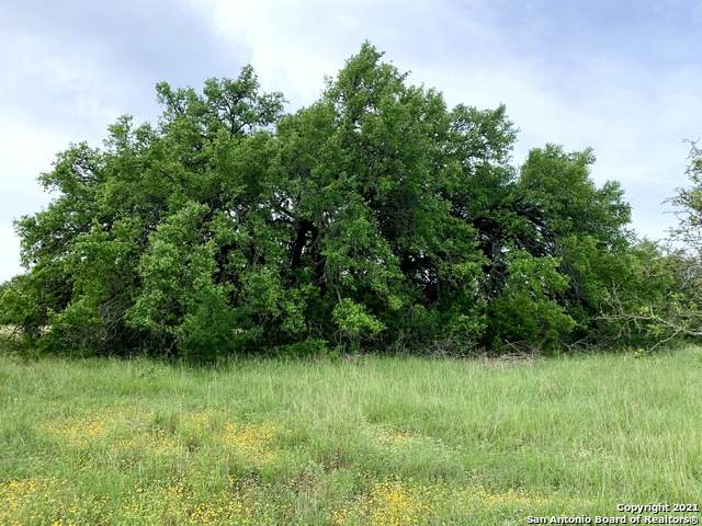 LOT 313 Appaloosa Hollow - Photo 1