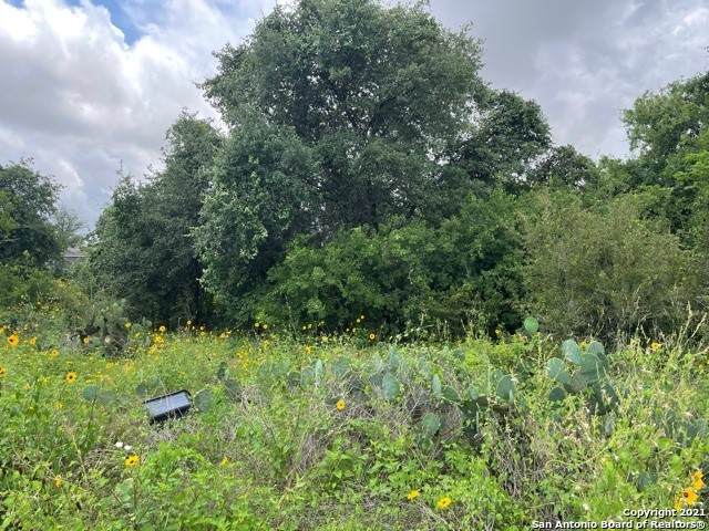 000 Blue Lily Dr - Photo 1