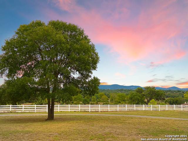 100 Palomino Springs - Photo 1