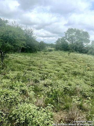 LOT 12 Hwy 55 - Photo 1