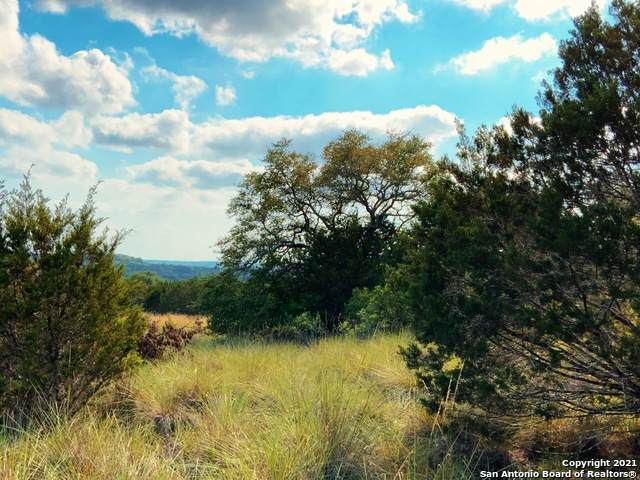115 Upper River Pl - Photo 1