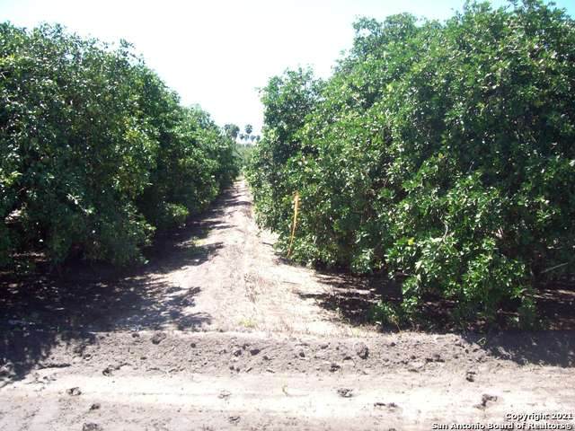 TBD White Ranch Road - Photo 1