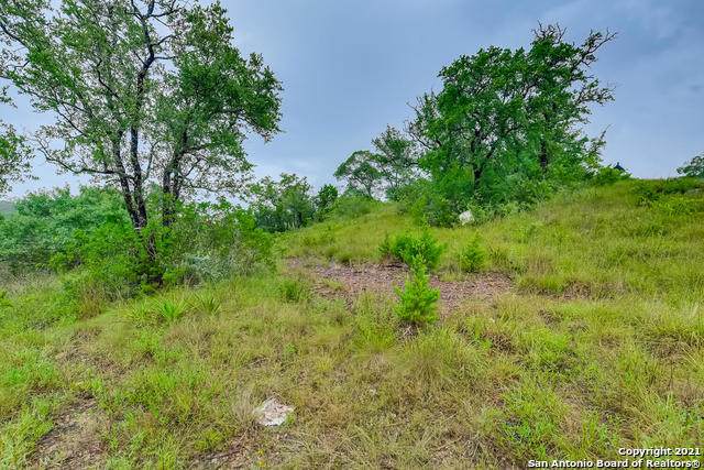 10014 Ivory Canyon - Photo 1