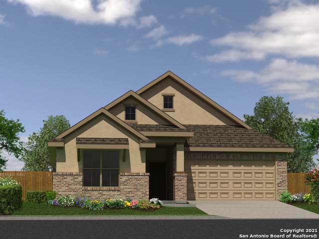 229 Stag Way - Photo 1
