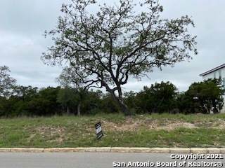90 Monarca - Photo 1