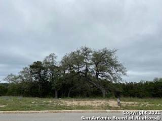 98 Monarca - Photo 1