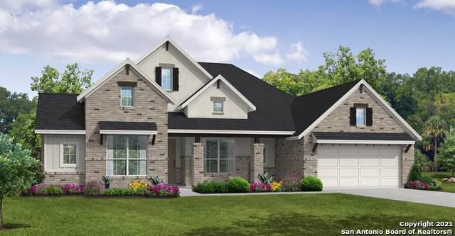 7035 Vinedale View - Photo 1