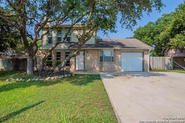 11611 Rousseau St - Photo 1