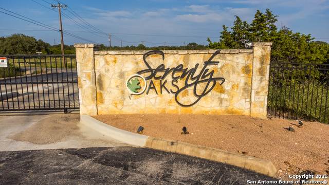 164 Red Tail Cove - Photo 1