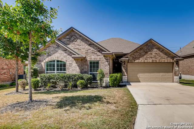 3019 Colorado Cove - Photo 1