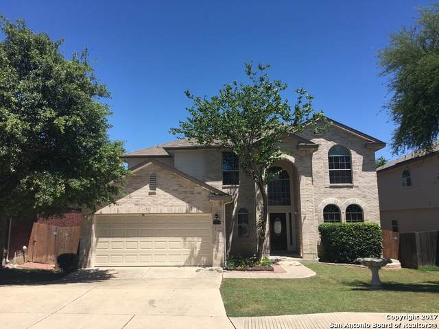 11639 Catchfly - Photo 1