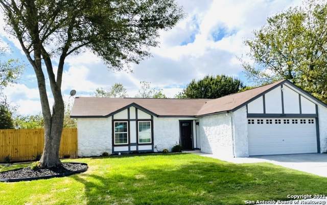 4609 Cherry Tree Dr - Photo 1