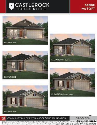 11644 Amberdeen Cove - Photo 1