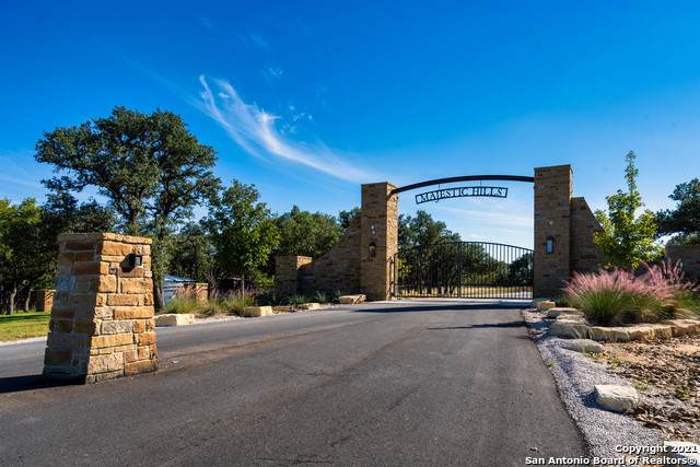 LOT 61 Majestic Hills Drive - Photo 1