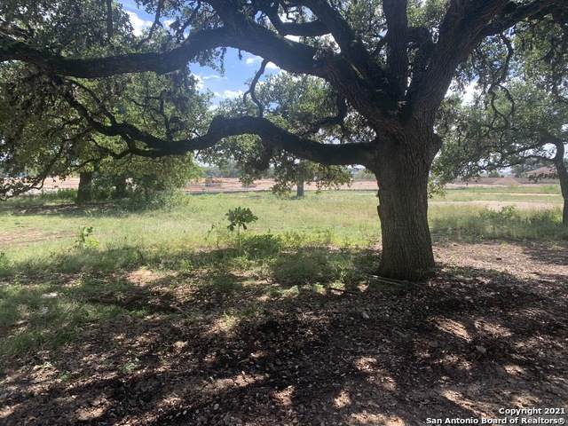 515 Bandera Rd - Photo 1