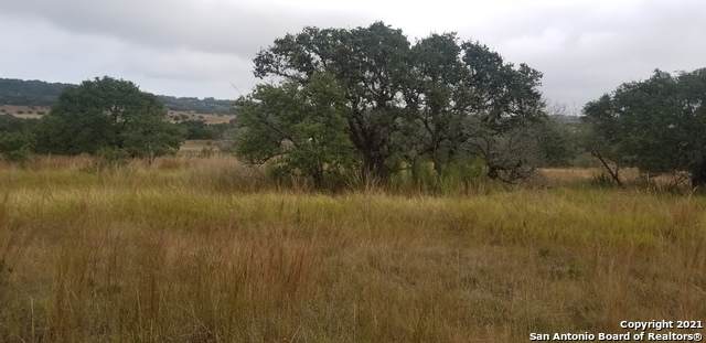 111 Falling Oak Trl - Photo 1