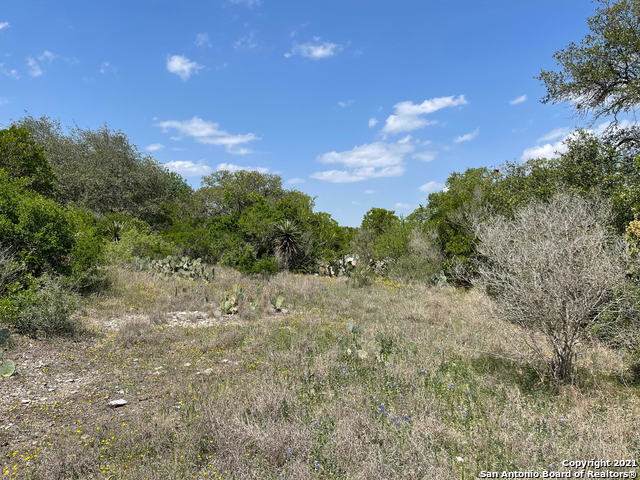 13407 Latigo Trail - Photo 1