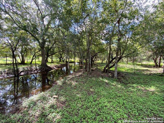 245 Buttercup Ln - Photo 1