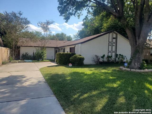 4824 Binz Engleman Rd - Photo 1