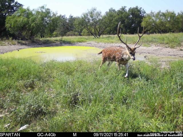 TBD Waddell Lane - Photo 1