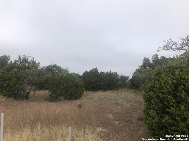 980 Scarlett Ridge Dr. - Photo 1