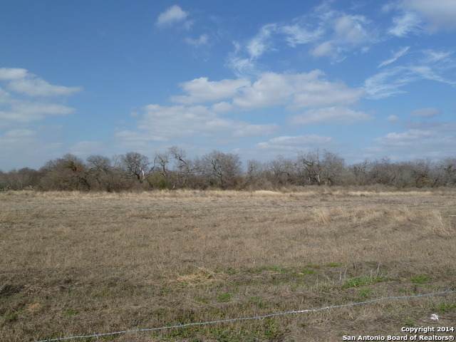 479 Loop 1604 W - Photo 1