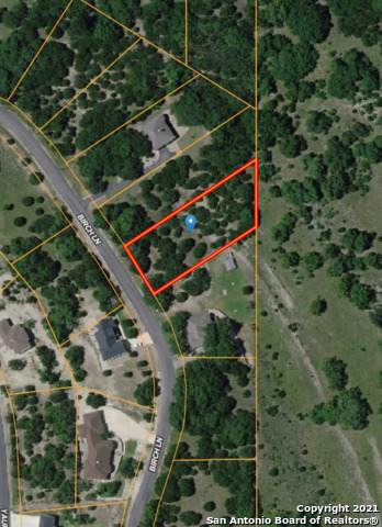 1503 Birch Ln - Photo 1