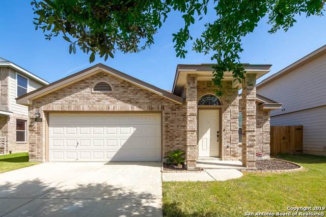 4003 Blue Oak Pass - Photo 1
