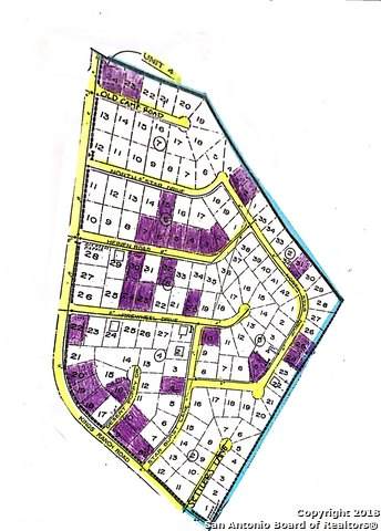 LOT 15 North Star - Photo 1