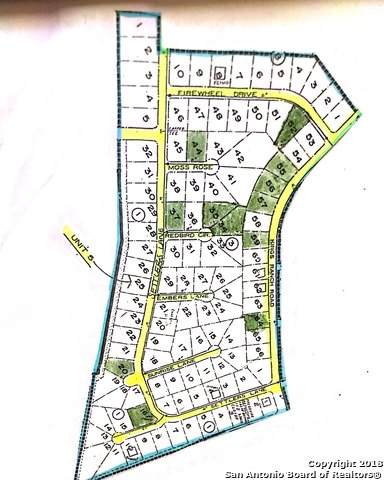 LOT 35 Red Bird - Photo 1