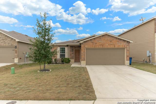 162 Texas Thistle - Photo 1