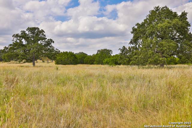 TBD (LOT 11) Ammann Road - Photo 1