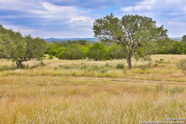 TBD (LOT 14) Ammann Road - Photo 1