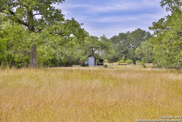 TBD (LOT 15) Ammann Road - Photo 1