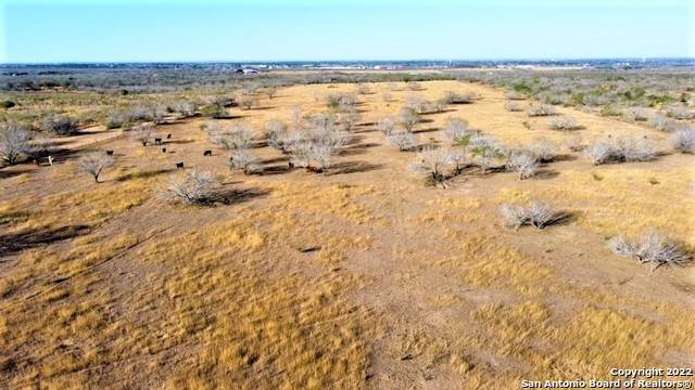 2319 County Road 430 - Photo 1