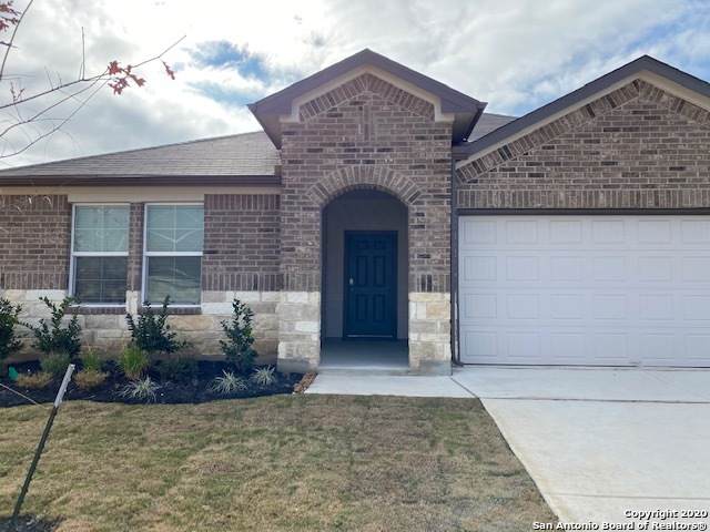 868 Margay Loop - Photo 1