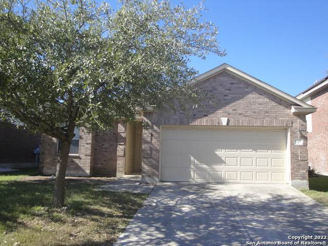 12119 Jimmer Cove - Photo 1