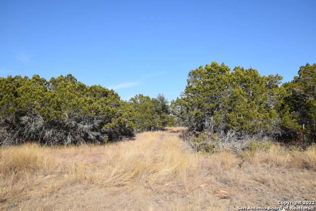 LOT 19 La Vista Ct - Photo 1