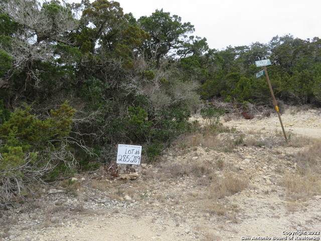 LOT 285-289 Hilltop Loop - Photo 1