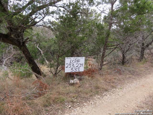 LOT 233,234,338 Hilltop Loop - Photo 1
