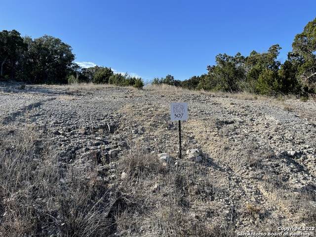 LOT 307 Pr 1742 - Photo 1