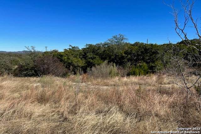 154 & 155 Woodland Loop - Photo 1