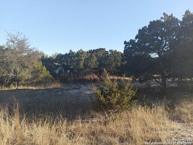 0 Bluff View Cir - Photo 1