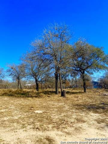 LOT 2 County Road 6816 - Photo 1