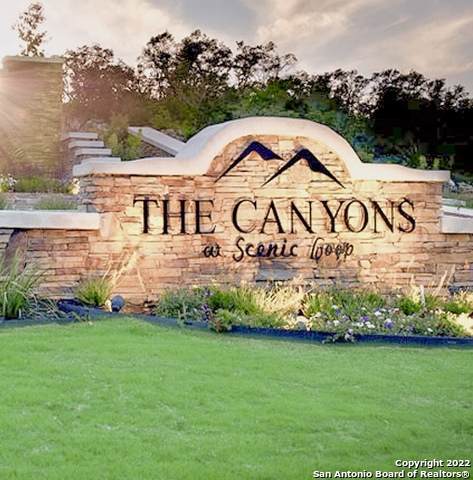 10530 Kendall Canyon - Photo 1