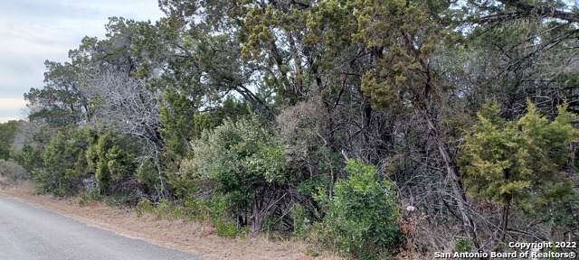 LOT 210 Tba - Photo 1