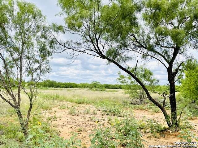 TBD LOT 4 County Road 2300 - Photo 1