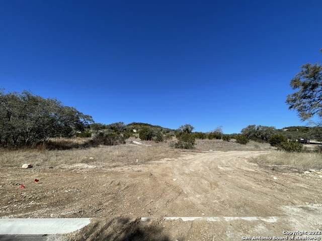 11111 Nina Rdg - Photo 1