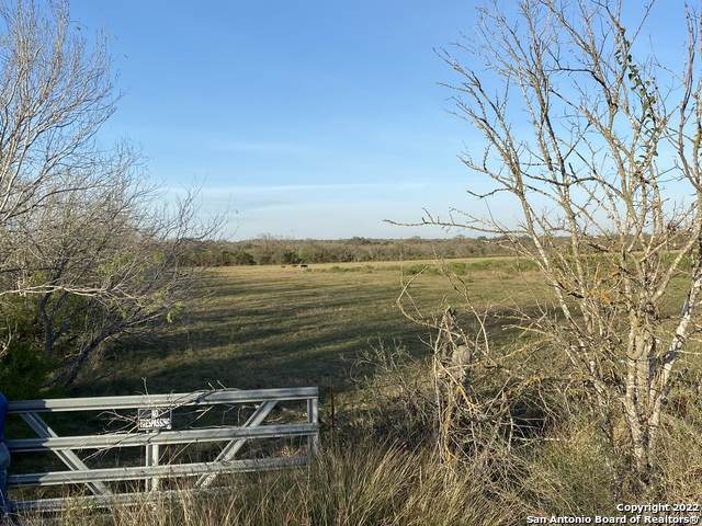 TBD Single Oak Road - Photo 1