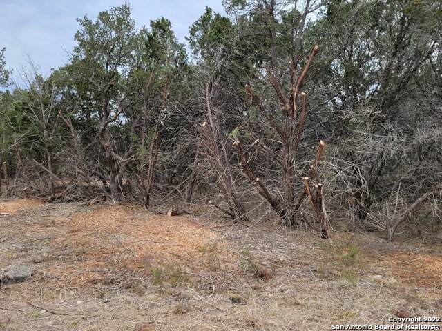 TBD Timberline Dr - Photo 1